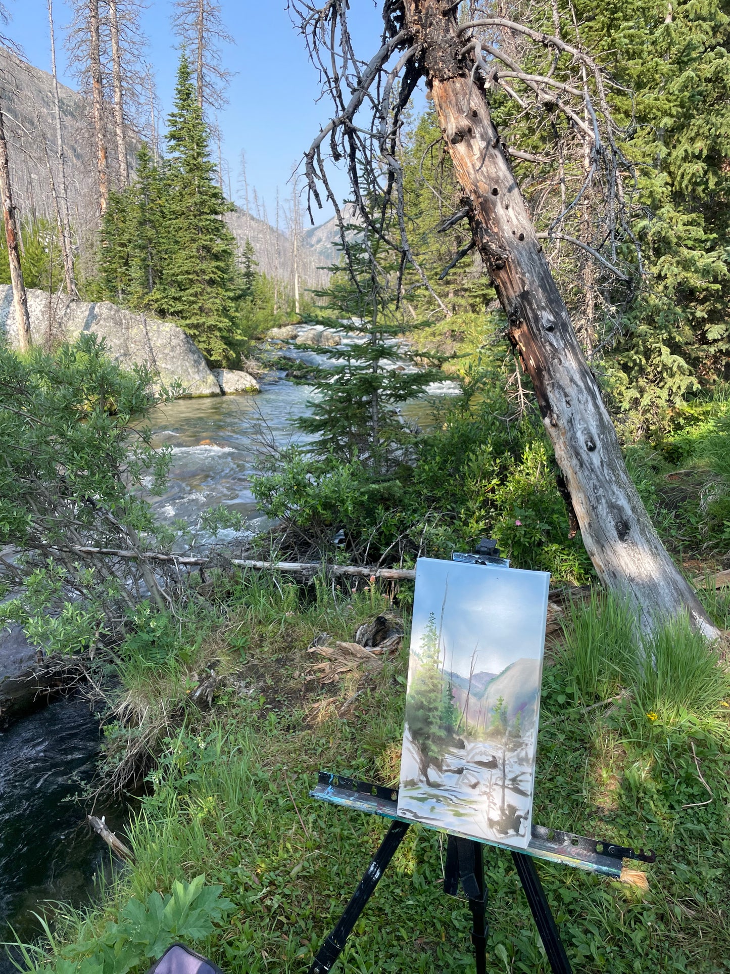 Plein Air Painting with Janice Polzin