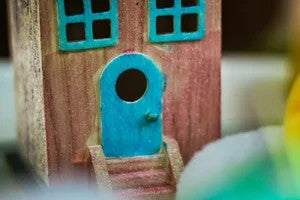 Fairy Houses with Tiffani Feeley